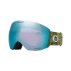 משקף סקי אוקלי ירוק/כחול – Oakley Flight Deck L FERN PRIZM