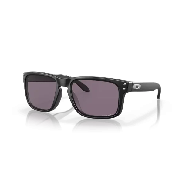prizm grey Lenses, matte black Frame